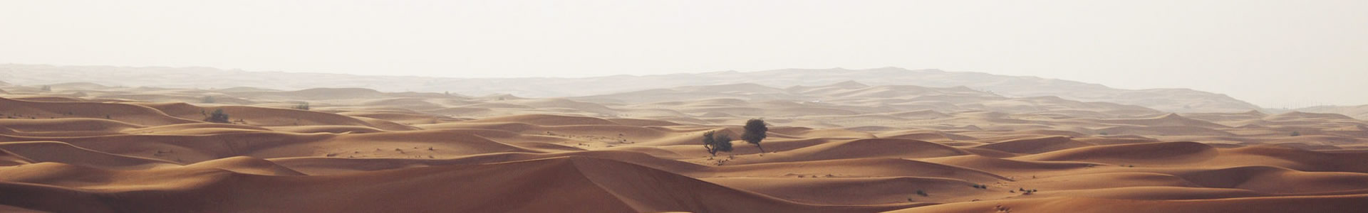 ·Ƽ޹˾